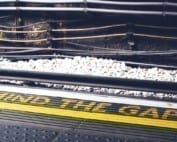 Cure Your Blind Spots to Expand Your Capacity. Brought to you by the Leadership Coaches at Kinetic Insights